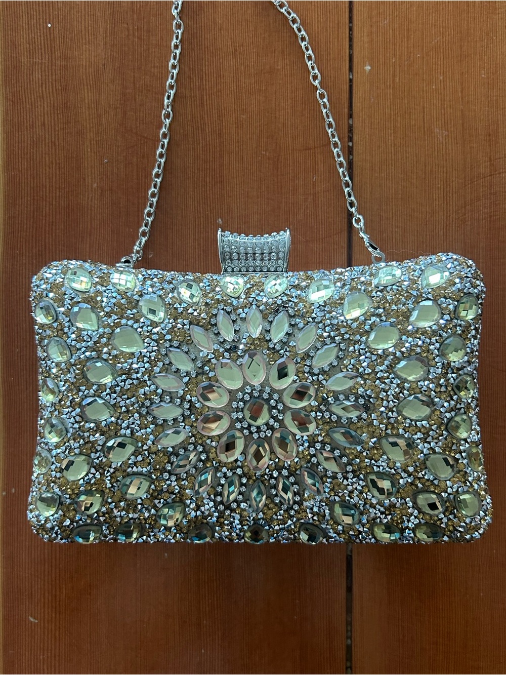 Embellished Crystal Silver Evening Clutch